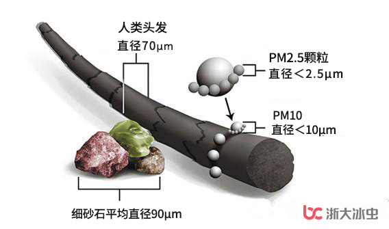 PM2.5